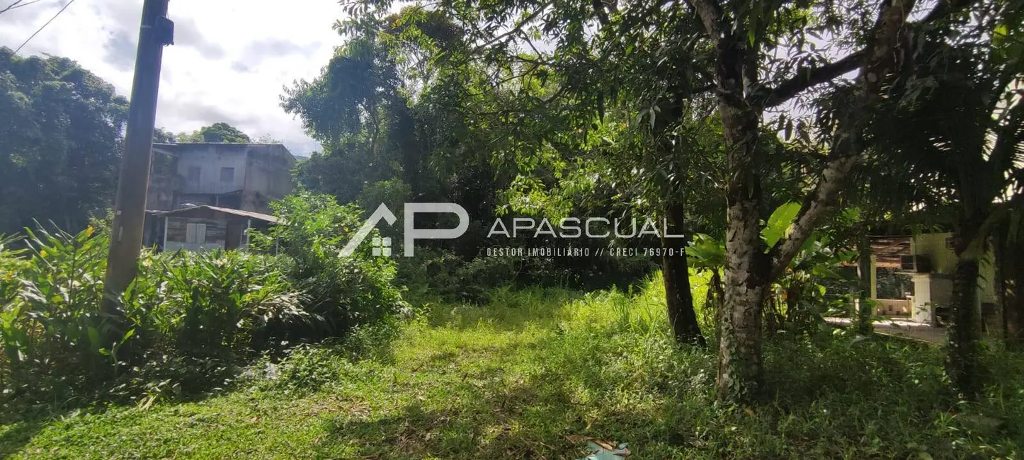 Foto 2 de Terreno / Lote à venda, 270m2 em Massaguaçu, Caraguatatuba - SP