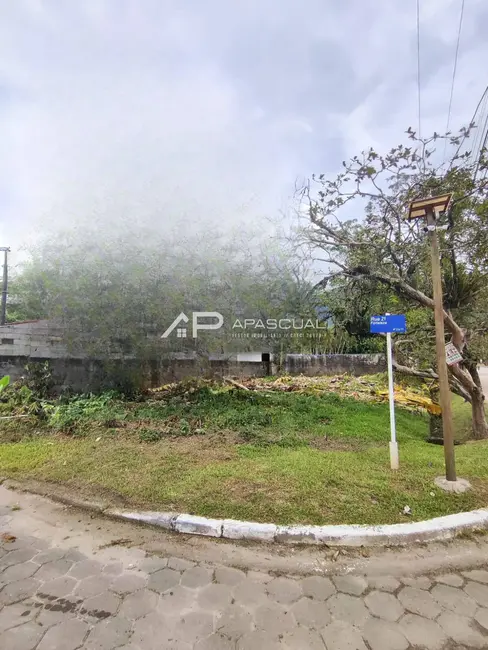 Foto 6 de Terreno / Lote à venda, 253m2 em Massaguaçu, Caraguatatuba - SP