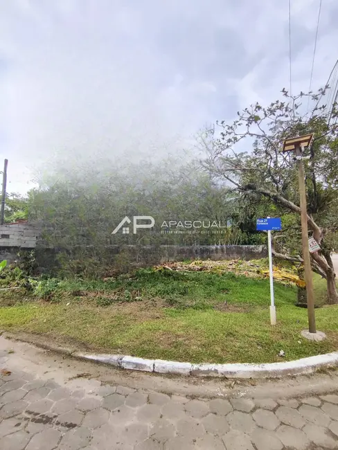 Foto 2 de Terreno / Lote à venda, 253m2 em Massaguaçu, Caraguatatuba - SP