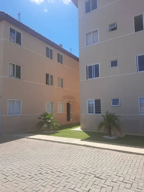 Apartamento com 2 quartos à venda, 44m2 em São Dimas, Colombo - PR - imagem 6 Foto 6 de Apartamento com 2 quartos à venda, 44m2 em São Dimas, Colombo - PR