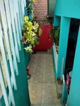 Imagem 3