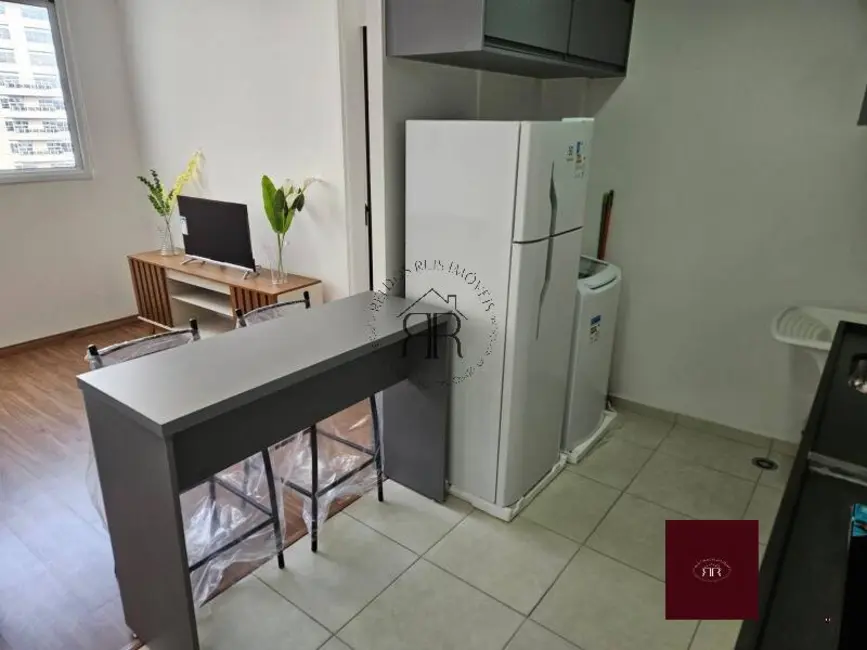Foto 4 de Apartamento com 1 quarto para alugar, 35m2 em Mooca, São Paulo - SP