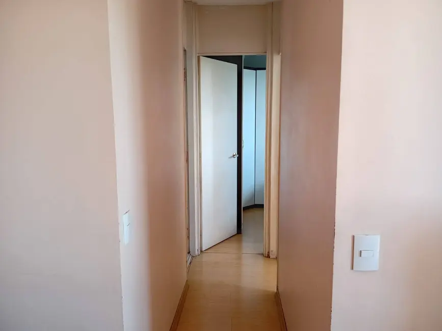 Foto 5 de Apartamento com 2 quartos para alugar, 44m2 em Jardim Santa Terezinha (Zona Leste), São Paulo - SP