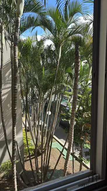 Foto 5 de Apartamento com 2 quartos para alugar, 50m2 em Vila Carmosina, São Paulo - SP