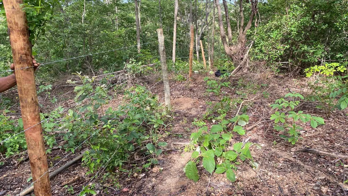 Foto 5 de Terreno / Lote à venda, 40000m2 em Jaboticatubas - MG