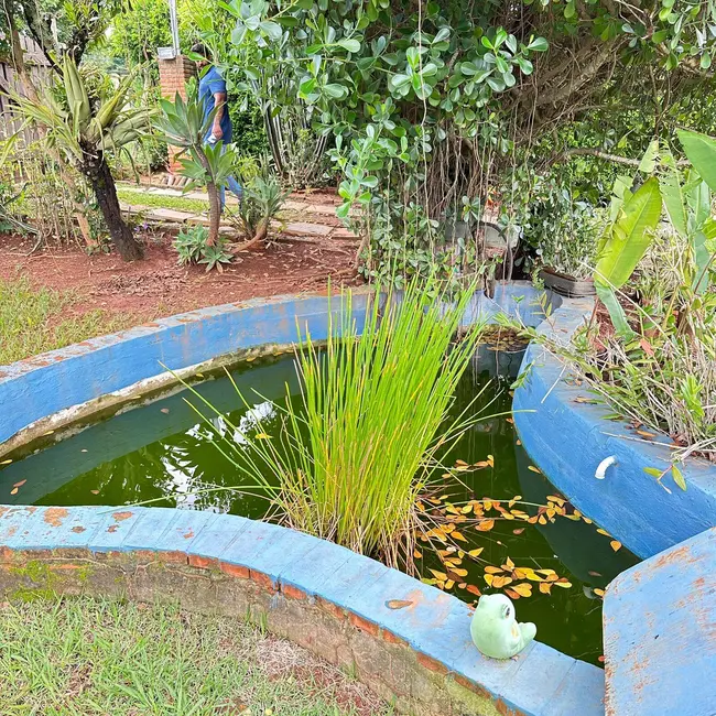Foto 6 de Chácara com 2 quartos à venda, 850m2 em Jaboticatubas - MG