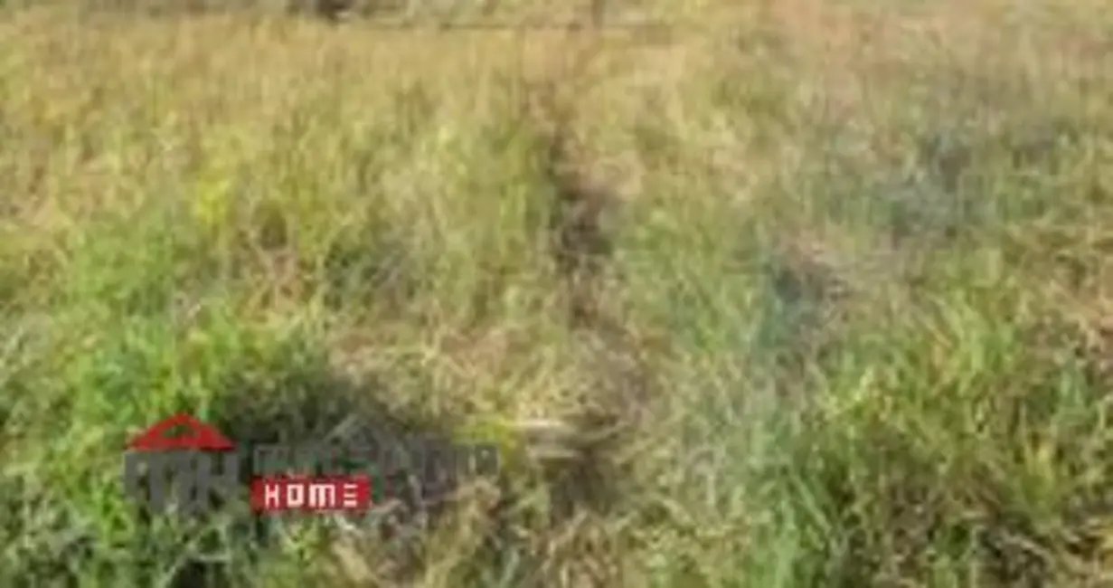 Foto 1 de Terreno / Lote à venda, 500m2 em Água Fria, Joao Pessoa - PB
