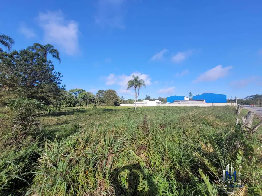 Terreno / Lote à venda, 5139m2 em Balneario Barra Do Sul - SC - imagem 5 Foto 5 de Terreno / Lote à venda, 5139m2 em Balneario Barra Do Sul - SC