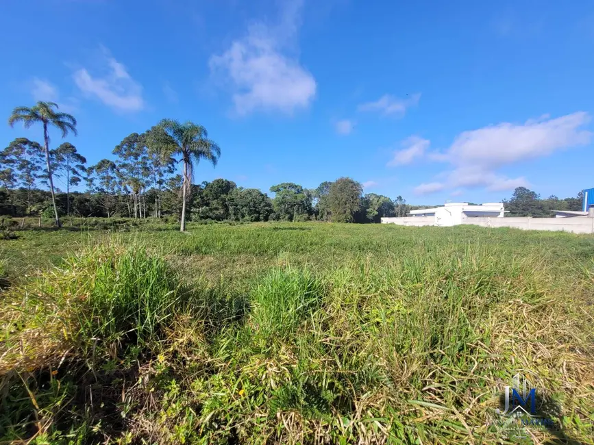 Terreno / Lote à venda, 5139m2 em Balneario Barra Do Sul - SC - imagem 4 Foto 4 de Terreno / Lote à venda, 5139m2 em Balneario Barra Do Sul - SC