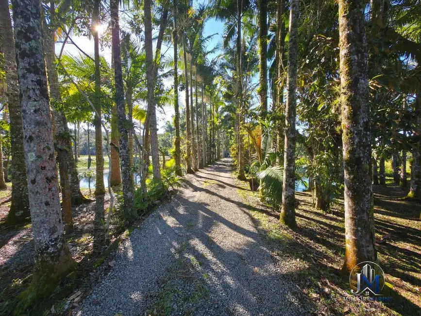 Foto 8 de Casa com 4 quartos à venda, 5000m2 em Balneario Barra Do Sul - SC