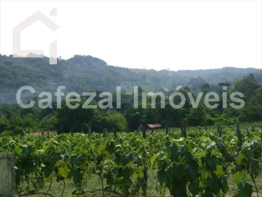 Sítio / Rancho com 5 quartos à venda, 103000m2 em Itupeva - SP - imagem 7 Foto 7 de Sítio / Rancho com 5 quartos à venda, 103000m2 em Itupeva - SP