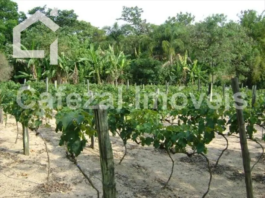 Sítio / Rancho com 5 quartos à venda, 103000m2 em Itupeva - SP - imagem 9 Foto 9 de Sítio / Rancho com 5 quartos à venda, 103000m2 em Itupeva - SP