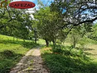 Imagem 24