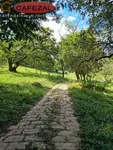 Imagem 22