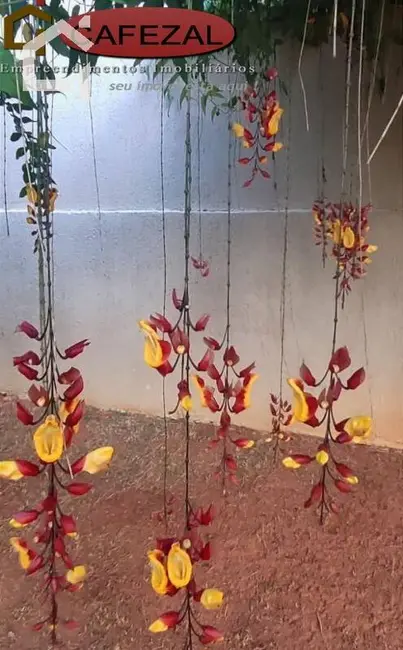 Foto 5 de Casa com 3 quartos à venda em Itupeva - SP
