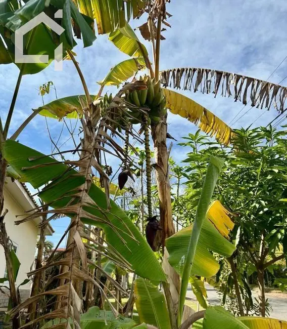 Casa com 3 quartos à venda, 1000m2 em Itupeva - SP - imagem 7 Foto 7 de Casa com 3 quartos à venda, 1000m2 em Itupeva - SP