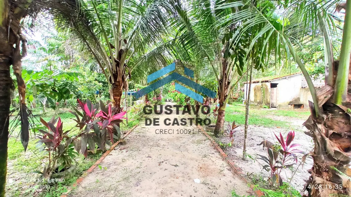 Foto 6 de Casa com 2 quartos à venda, 5300m2 em Maguari, Ananindeua - PA