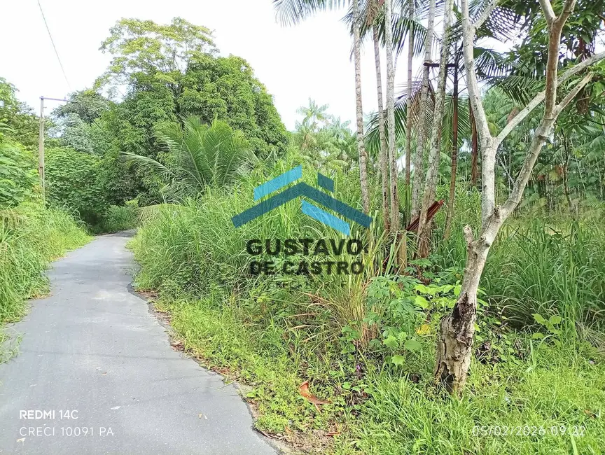 Foto 9 de Terreno / Lote à venda, 5000m2 em Curuçambá, Ananindeua - PA