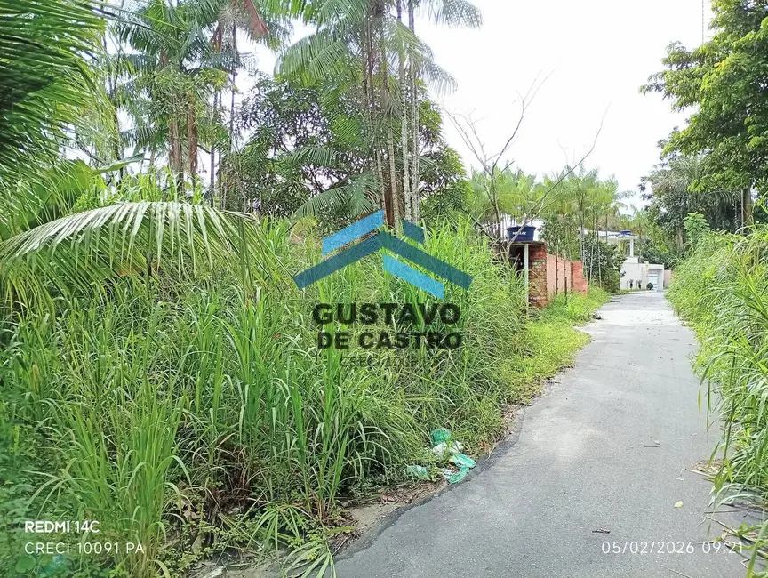 Foto 6 de Terreno / Lote à venda, 5000m2 em Curuçambá, Ananindeua - PA