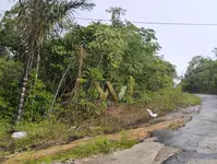 Imagem 2