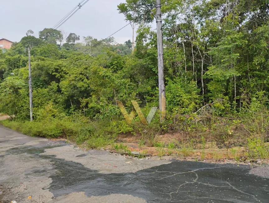 Foto 3 de Chácara à venda, 3425m2 em Tarumã-Açu, Manaus - AM