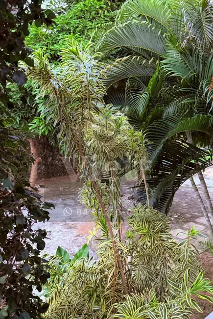 Foto 8 de Casa com 6 quartos à venda, 960m2 em Capim Macio, Natal - RN