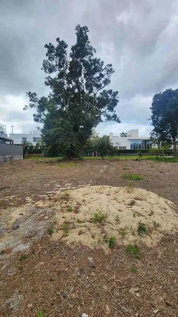 Terreno / Lote à venda, 701m2 em Jurerê Internacional, Florianopolis - SC - imagem 3 Foto 3 de Terreno / Lote à venda, 701m2 em Jurerê Internacional, Florianopolis - SC