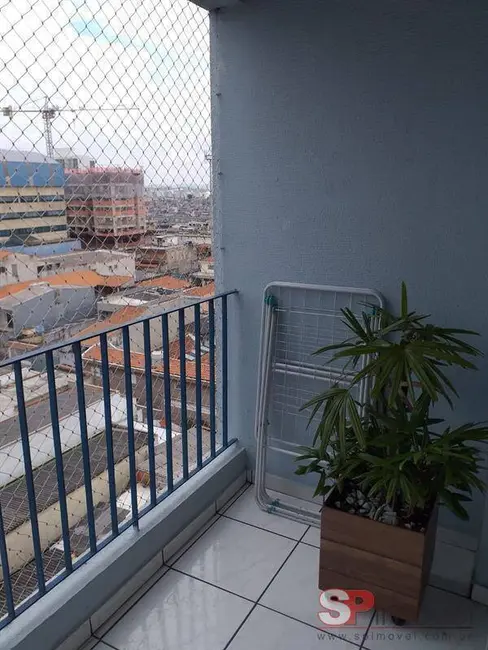 Apartamento com 2 quartos à venda em Vila Tolstoi, São Paulo - SP - imagem 1 Foto 1 de Apartamento com 2 quartos à venda em Vila Tolstoi, São Paulo - SP