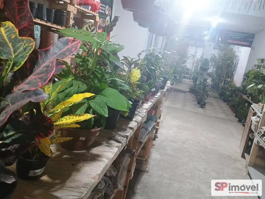 Foto 6 de Sala Comercial à venda, 300m2 em Parque São Miguel, Guarulhos - SP