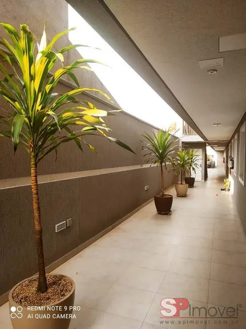 Casa com 2 quartos à venda, 70m2 em Vila Nova Mazzei, São Paulo - SP - imagem 8 Foto 8 de Casa com 2 quartos à venda, 70m2 em Vila Nova Mazzei, São Paulo - SP