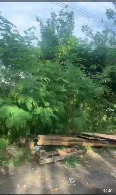 Foto 5 de Lote de Condomínio à venda, 7000m2 em Barra da Tijuca, Rio De Janeiro - RJ