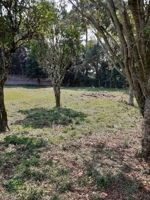Foto 8 de Terreno / Lote à venda, 5417m2 em Santa Felicidade, Curitiba - PR