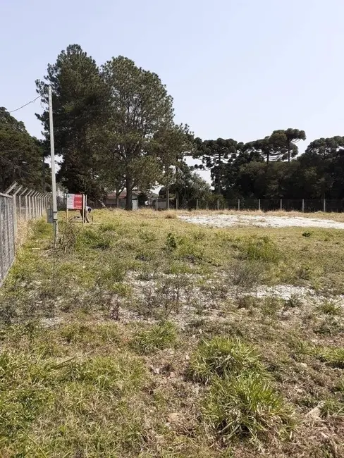 Foto 7 de Terreno / Lote à venda, 5417m2 em Santa Felicidade, Curitiba - PR