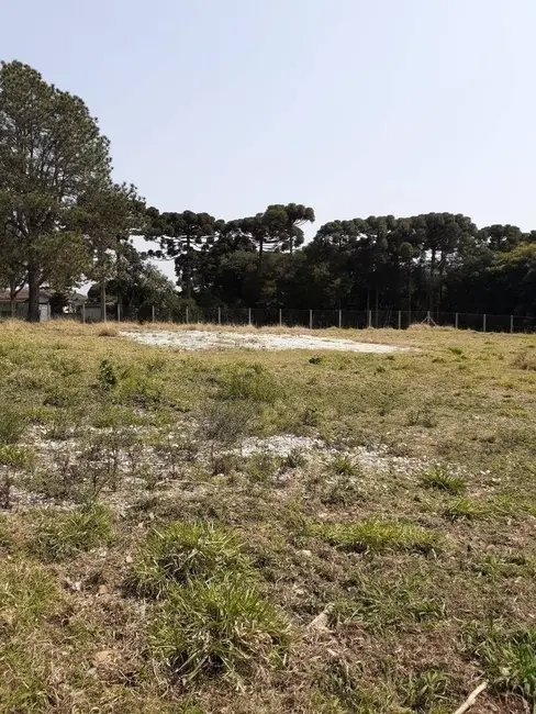 Foto 6 de Terreno / Lote à venda, 5417m2 em Santa Felicidade, Curitiba - PR