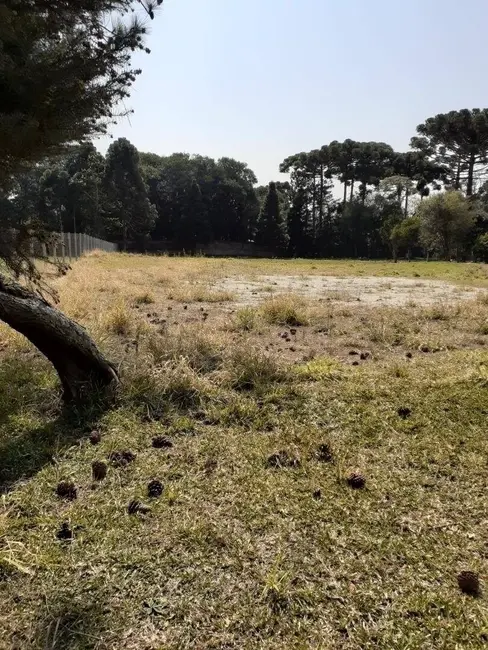 Foto 5 de Terreno / Lote à venda, 5417m2 em Santa Felicidade, Curitiba - PR