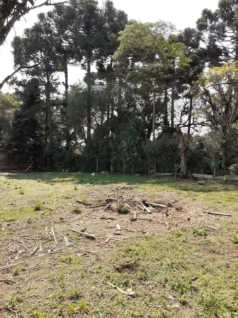 Foto 9 de Terreno / Lote à venda, 5417m2 em Santa Felicidade, Curitiba - PR