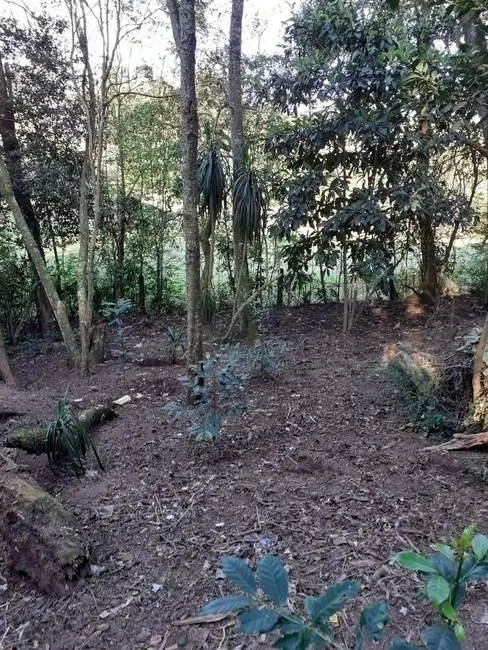 Terreno / Lote à venda, 5048m2 em Cascatinha, Curitiba - PR - imagem 6 Foto 6 de Terreno / Lote à venda, 5048m2 em Cascatinha, Curitiba - PR