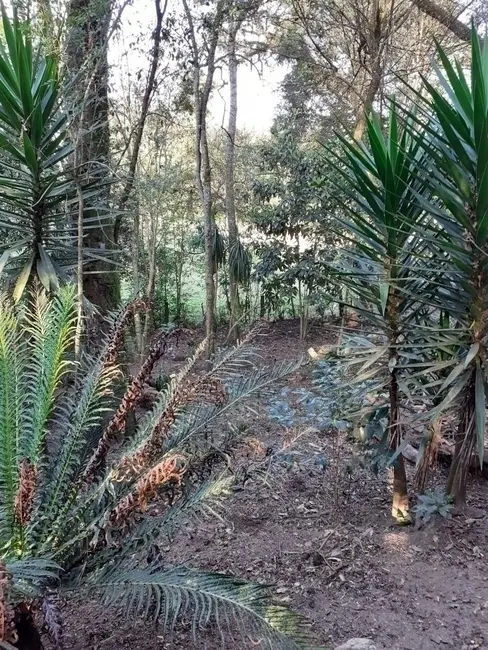 Terreno / Lote à venda, 5048m2 em Cascatinha, Curitiba - PR - imagem 8 Foto 8 de Terreno / Lote à venda, 5048m2 em Cascatinha, Curitiba - PR