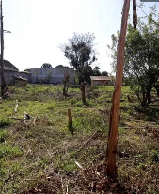 Foto 4 de Terreno / Lote à venda, 2930m2 em São Braz, Curitiba - PR