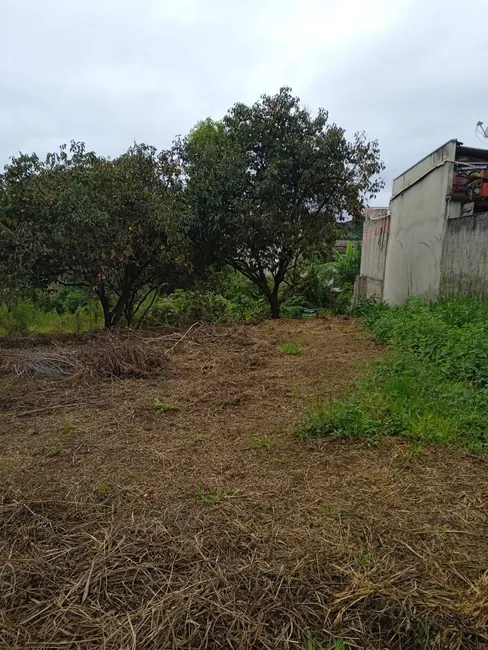 Foto 4 de Terreno / Lote à venda, 4379m2 em Campo de Santana, Curitiba - PR