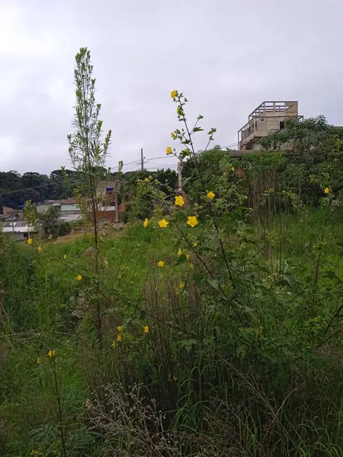 Foto 6 de Terreno / Lote à venda, 4379m2 em Campo de Santana, Curitiba - PR