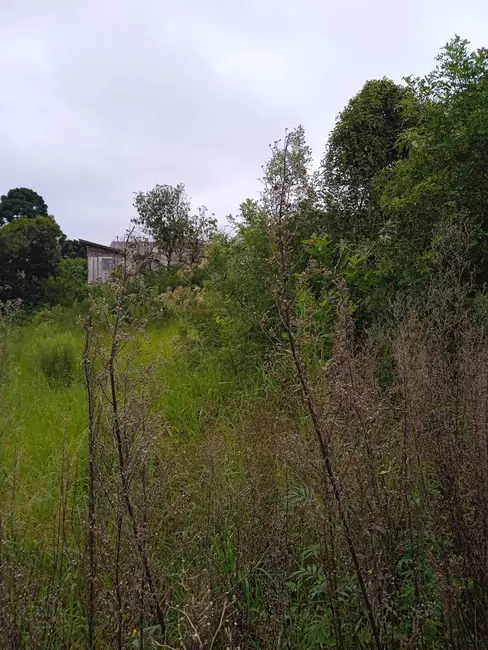 Foto 8 de Terreno / Lote à venda, 4379m2 em Campo de Santana, Curitiba - PR