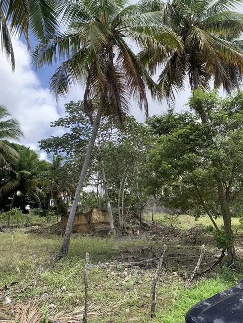 Foto 2 de Terreno / Lote à venda, 70000m2 em Pium (Distrito Litoral), Parnamirim - RN