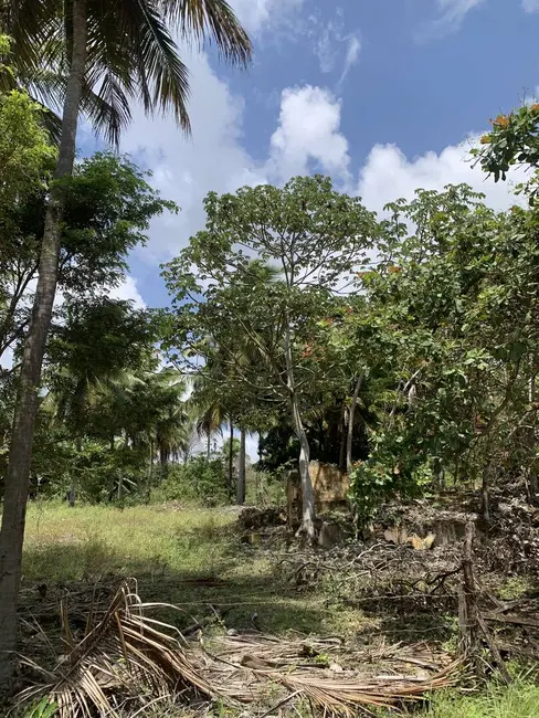 Foto 7 de Terreno / Lote à venda, 70000m2 em Pium (Distrito Litoral), Parnamirim - RN