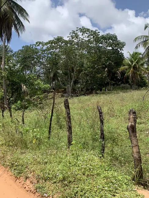 Foto 6 de Terreno / Lote à venda, 70000m2 em Pium (Distrito Litoral), Parnamirim - RN