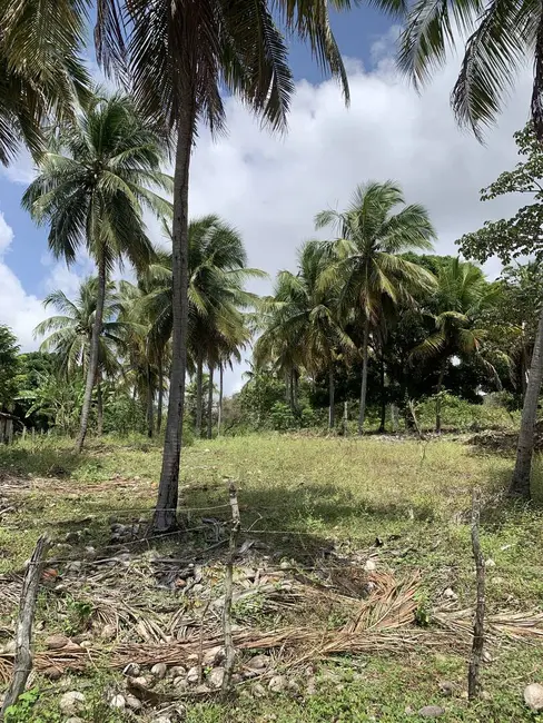 Foto 4 de Terreno / Lote à venda, 70000m2 em Pium (Distrito Litoral), Parnamirim - RN