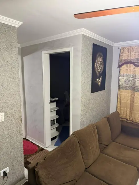 Foto 4 de Apartamento com 2 quartos à venda, 43m2 em Rio Pequeno, Sao Jose Dos Pinhais - PR
