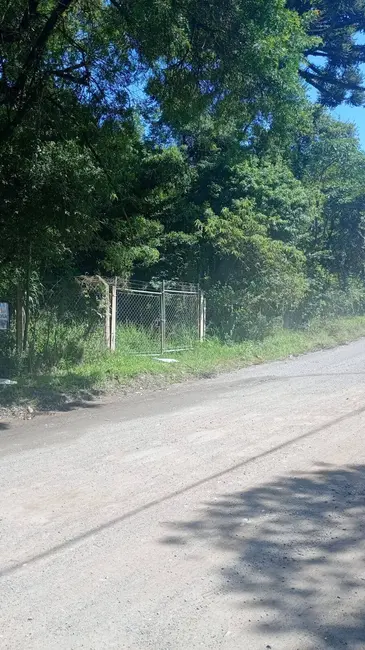 Foto 1 de Chácara à venda, 44711m2 em Itajacuru, Colombo - PR