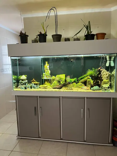 Foto 6 de Sobrado com 3 quartos à venda, 159m2 em Cajuru, Curitiba - PR