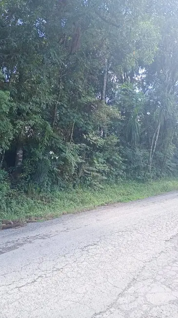Foto 3 de Chácara à venda, 44711m2 em Itajacuru, Colombo - PR
